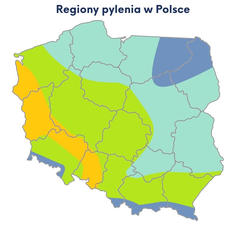Mapa-regionow-pylenia-w-Polsc