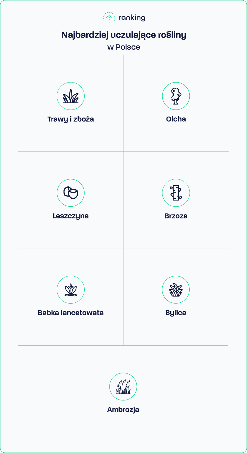 Najbardziej uczulające rośliny w Polsce